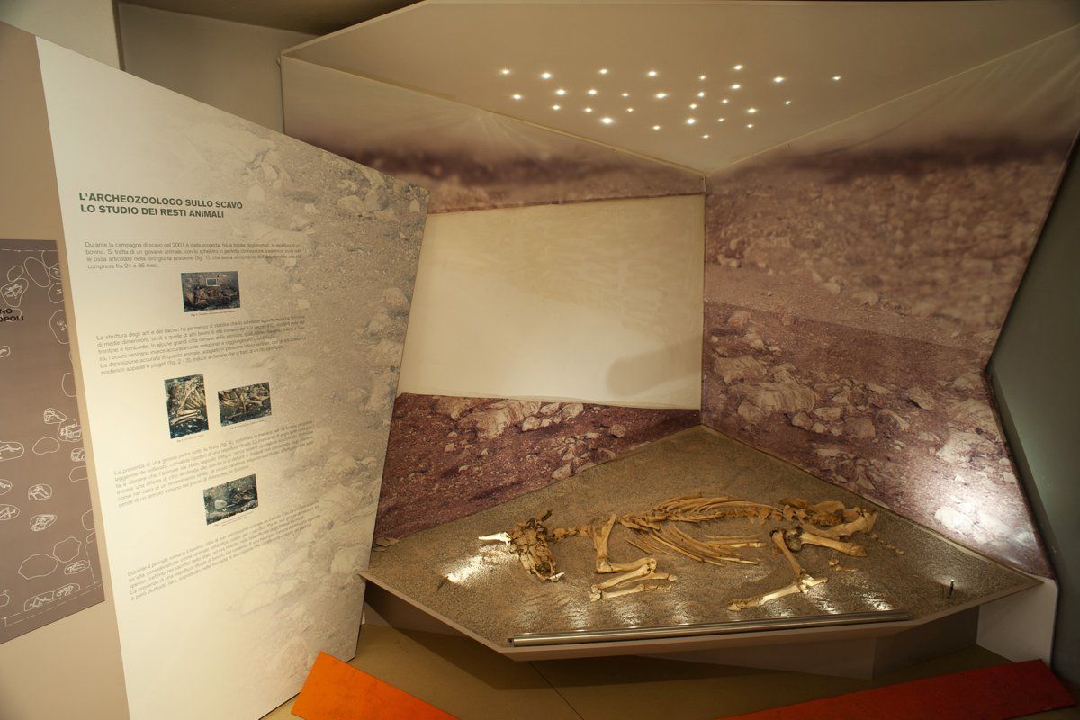 lamon-das archäologische stadtmuseum