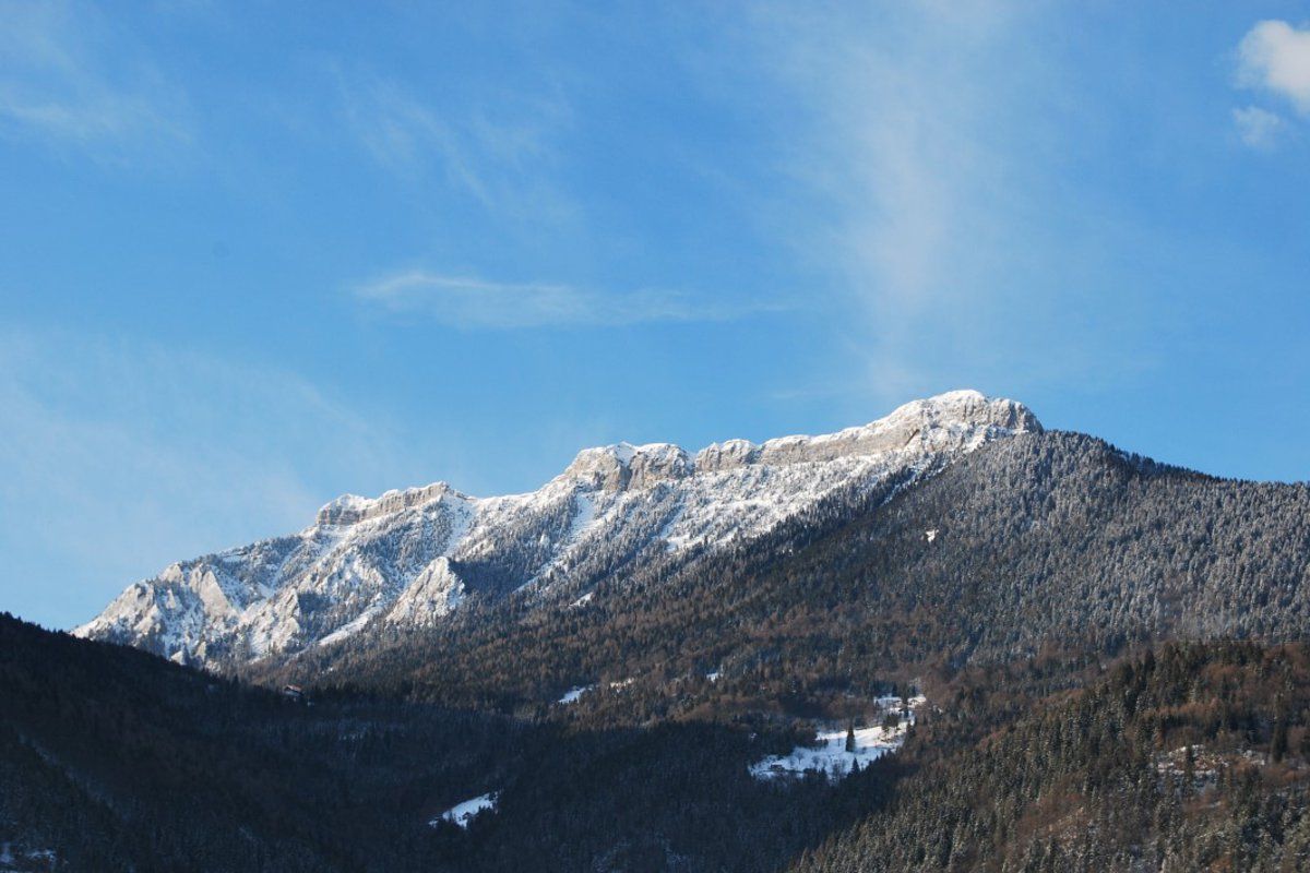 lamon-mount coppolo