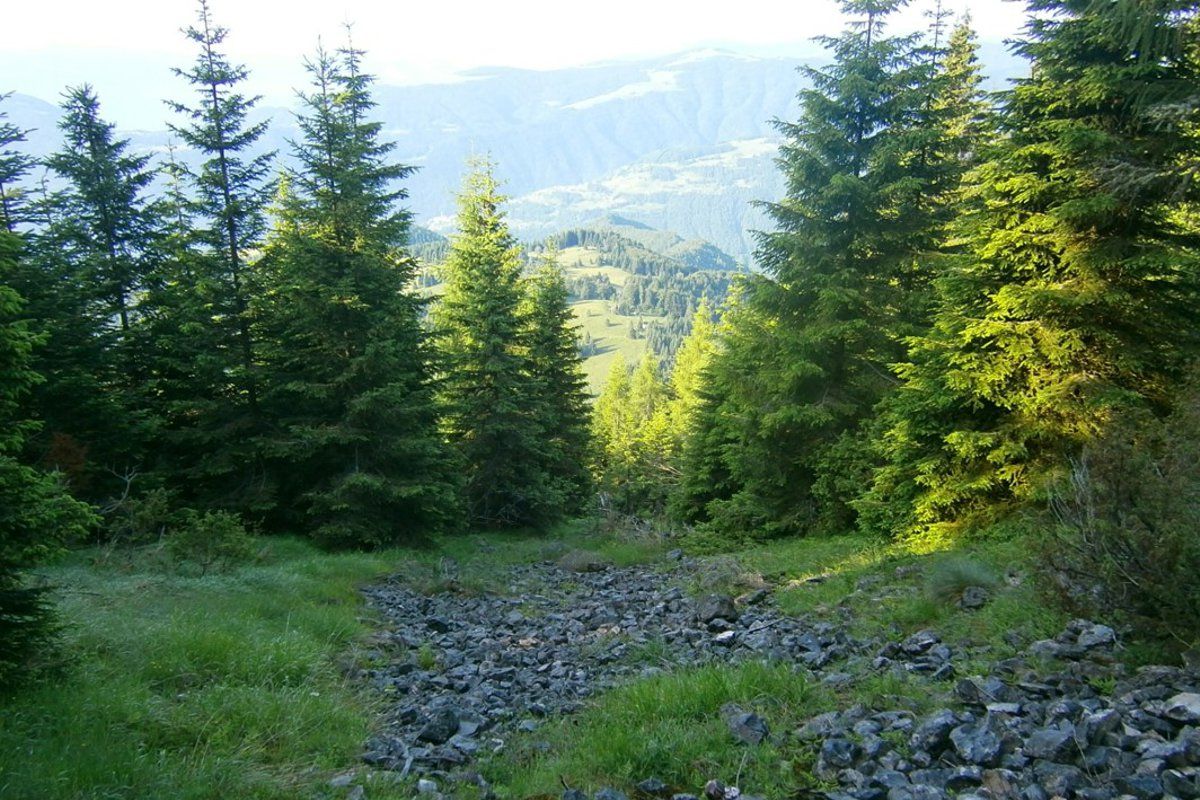 lamon-monte coppolo