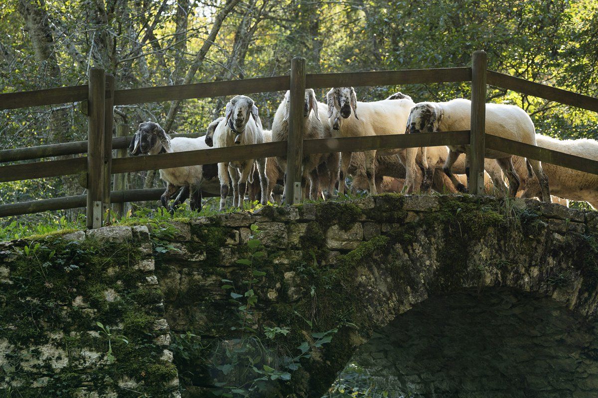 lamon-the roman bridge