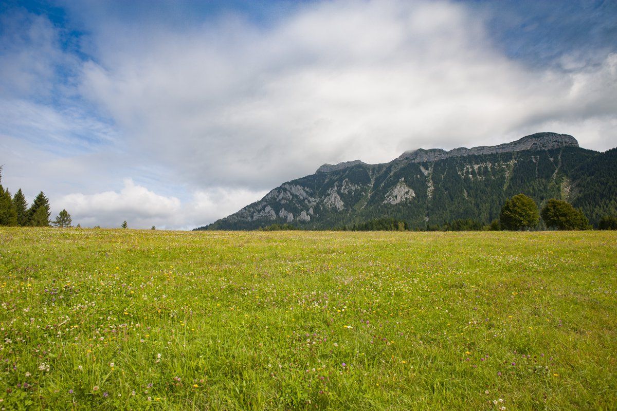 lamon-monte coppolo