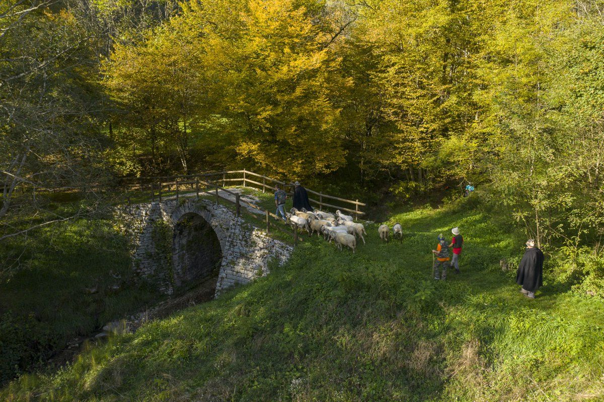 lamon-the roman bridge