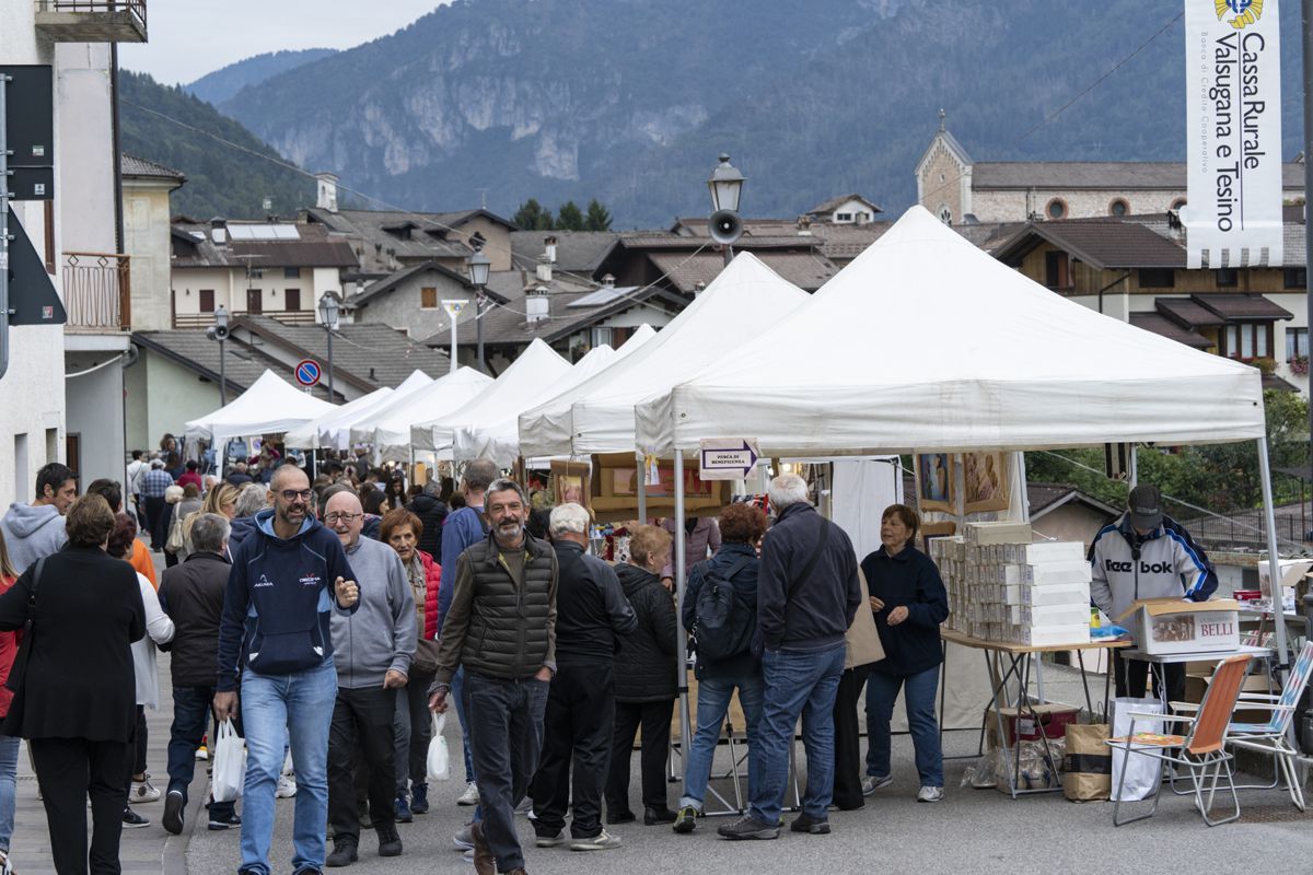 lamon-die bohnen fest